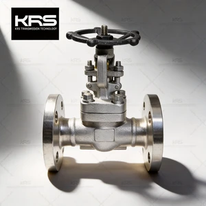 Flanged End Gate Valve A105 ANSI Class 800 Handwheel