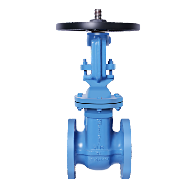 Flanged End Gate Valve Cast Iron PN10 Handwheel